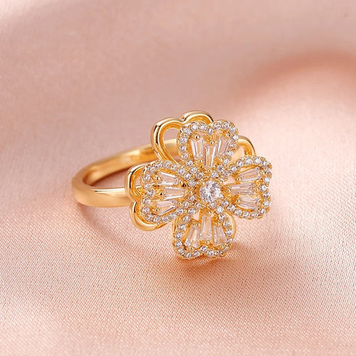 ANILLO GIRATORIO